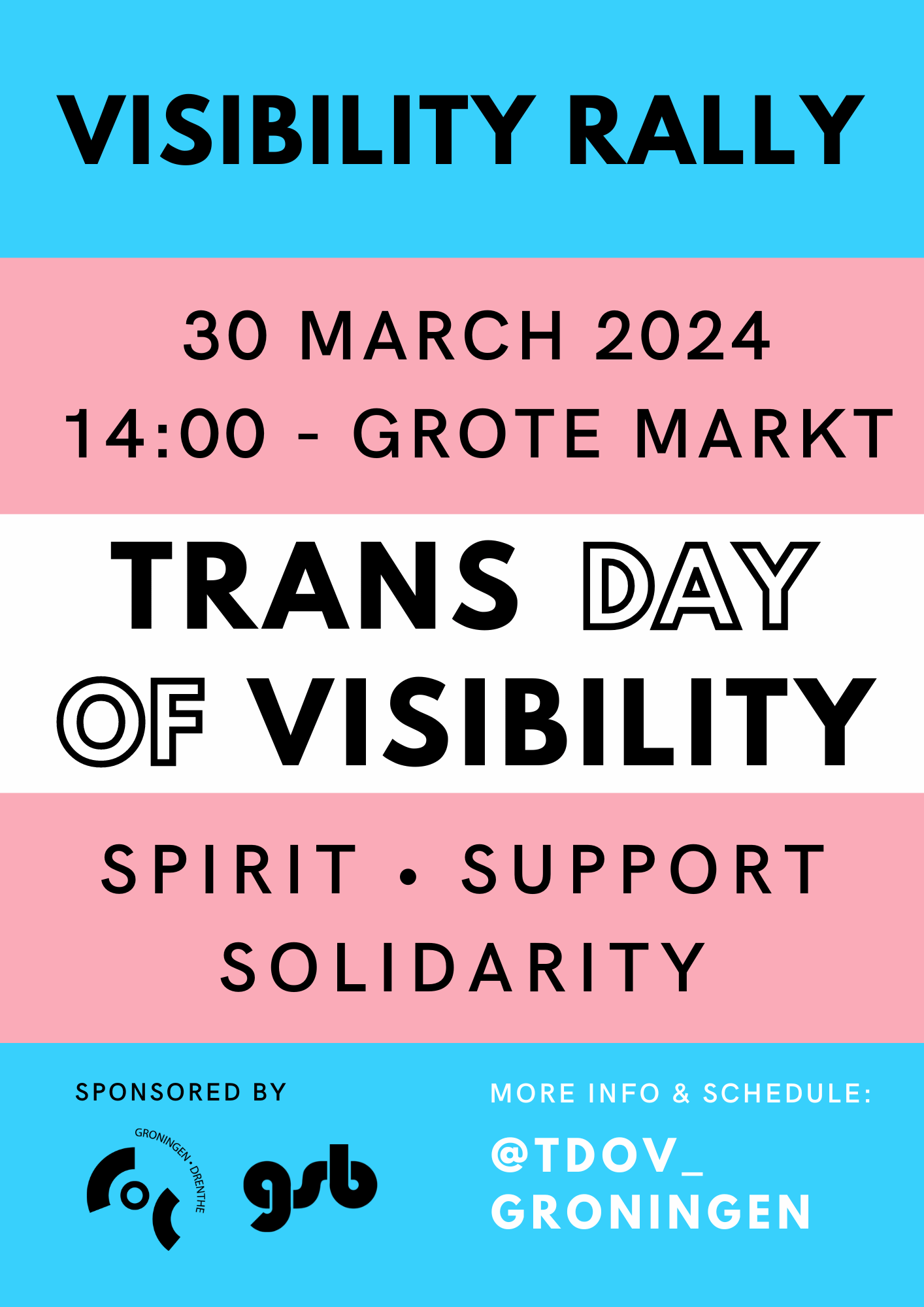TDOV poster 2024